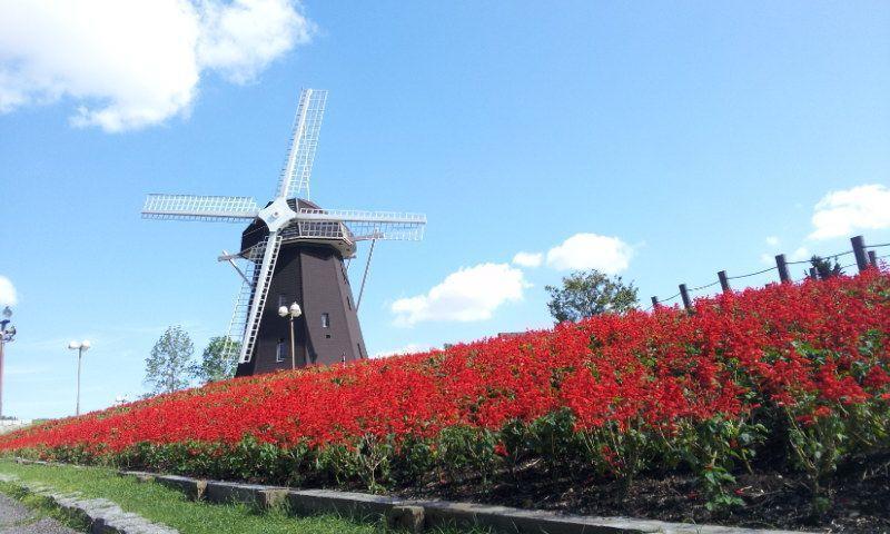 Other. Flora 2004 Memorial Park