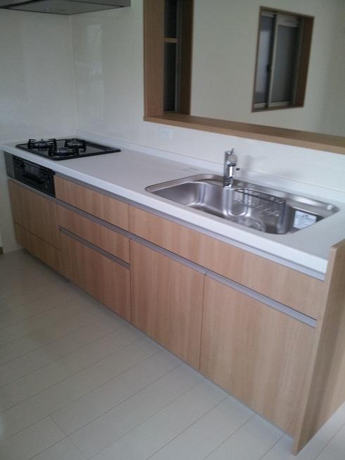 Kitchen. It has the advantage of cooking while conversation with everyone in the family can be, It is rapidly gaining popularity.