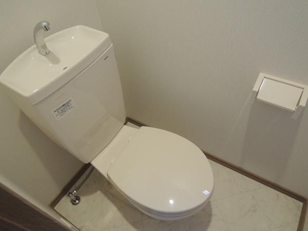 Toilet. First floor toilet.