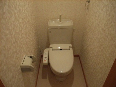Toilet. Ally of the man Bidet