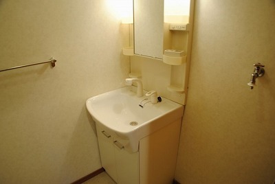 Washroom. Dressing room Wash basin
