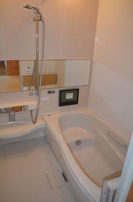 Bathroom. Indoor (10 May 2012) shooting