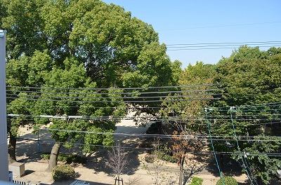 Other. Local front of the park