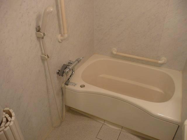 Bathroom. Bath handrail with
