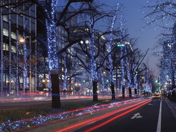 Main street of Osaka "Mido". Spring of dark green, Autumn leaves, And winter of illumination ... and, While located in the city center immediately familiar and feel the colors of the season (1-minute walk, About 65m)