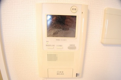 Security. TV monitor phone