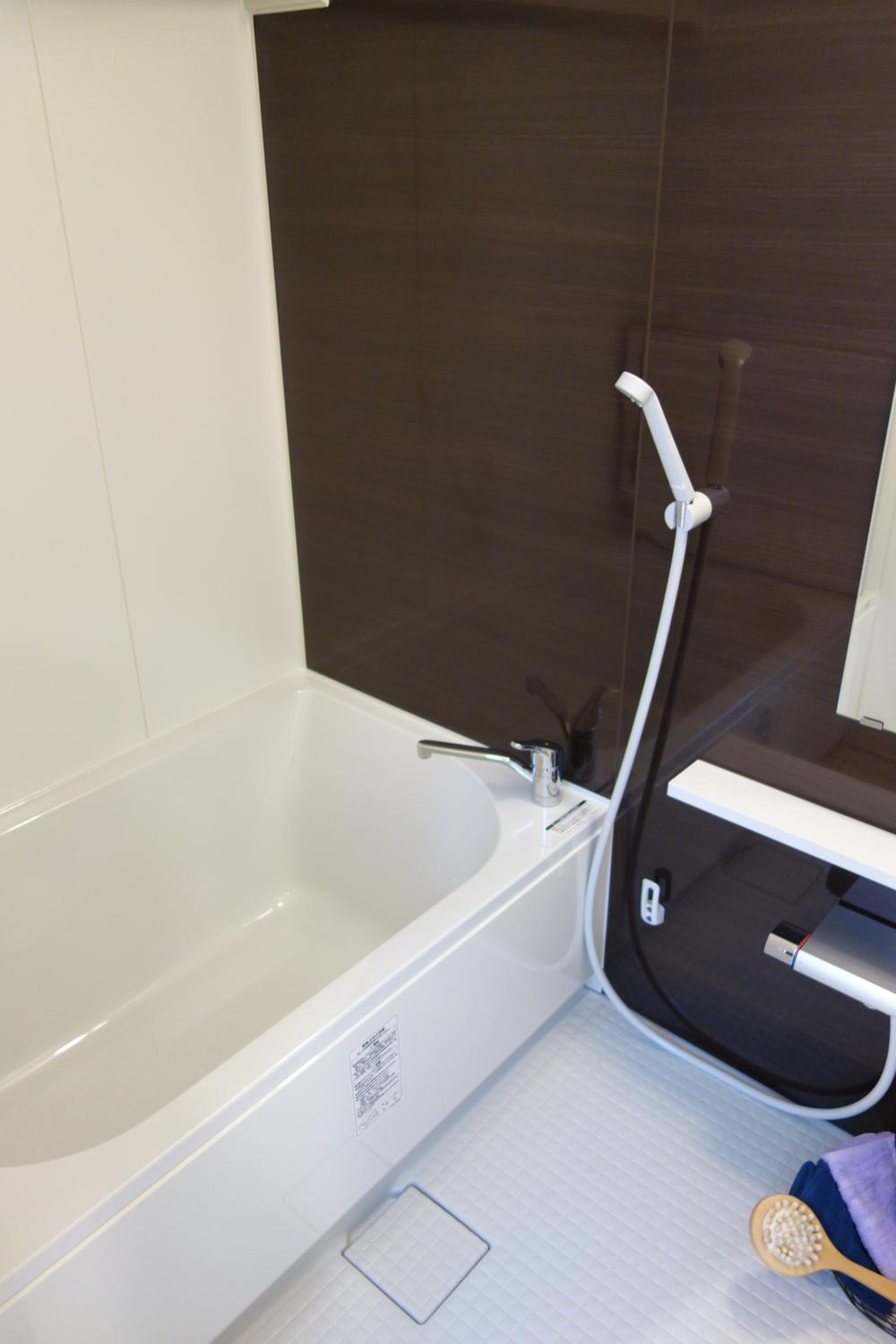 Bathroom. Indoor (January 2014) Shooting