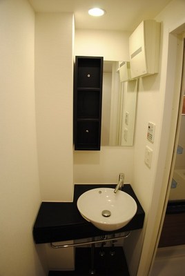 Washroom. Design washbasin