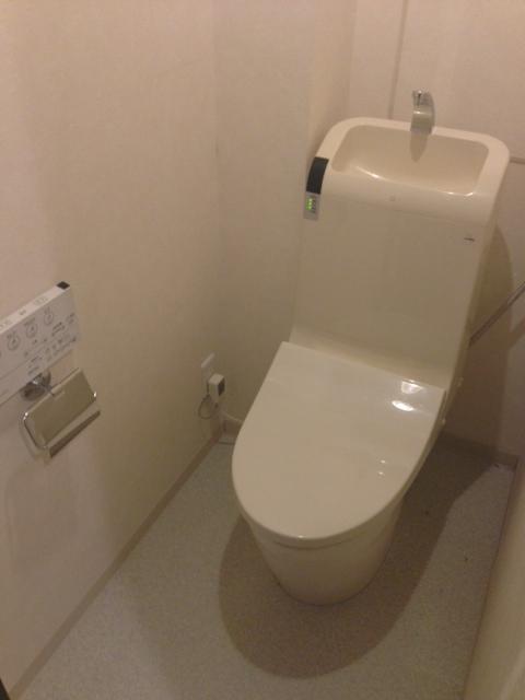 Toilet. High-performance toilet