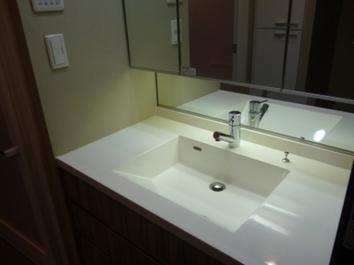 Washroom. Bathroom vanity