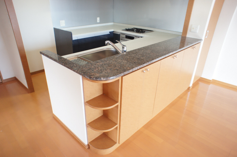 Kitchen. Counter with storage