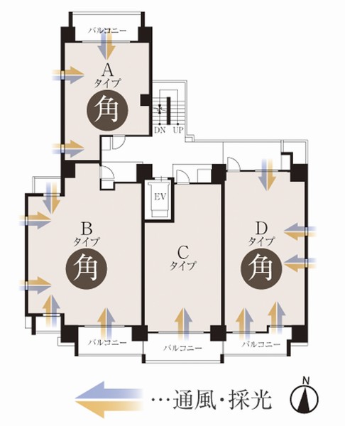 One floor 4 House. Corner dwelling unit that is 75% full of a sense of open (illustration)
