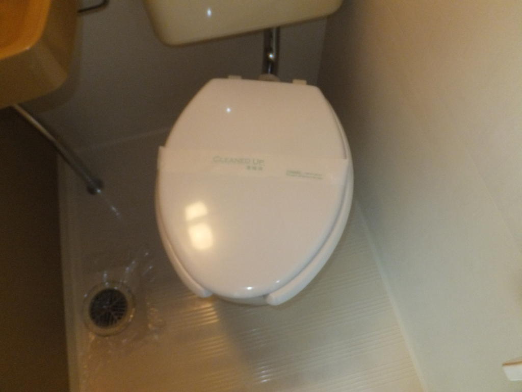 Toilet