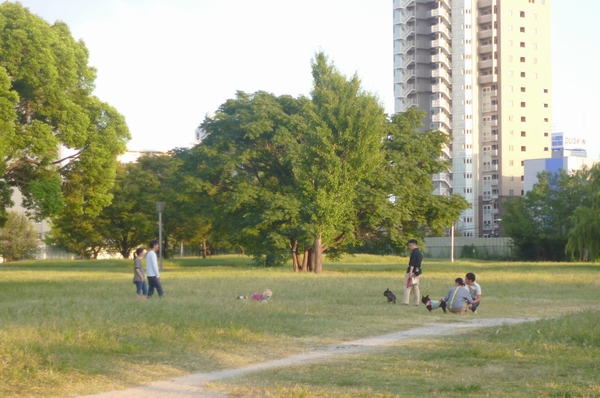 I do not think being in the city center, Vast green fields spread Namba Miyaato park. It is going to be a place of relaxation, such as instinctively want to take a deep breath and go out for a walk with the dog (about 400m)