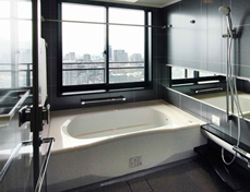 Bath. Bathroom Dryer with 2 groups are also overlooking the view bus night view