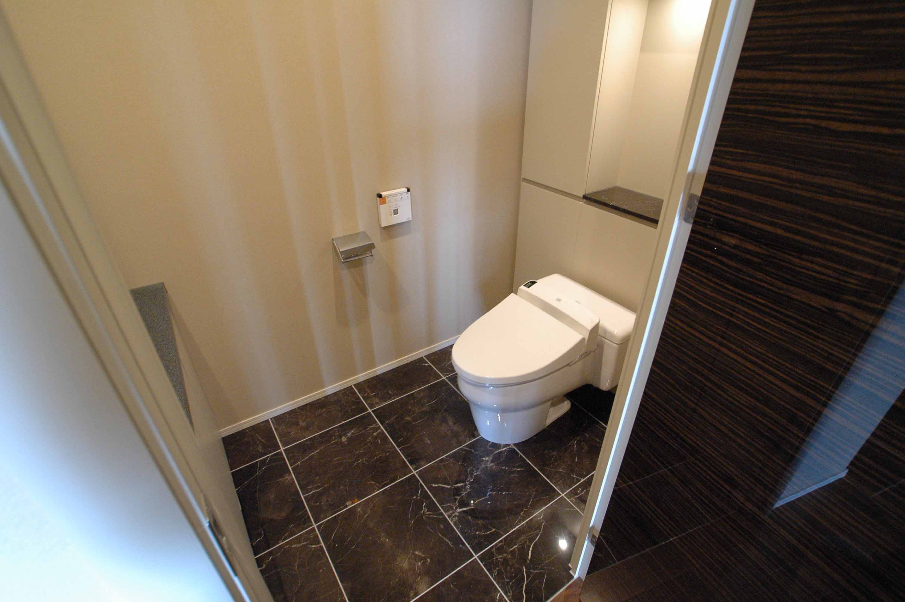 Toilet. Toilet with hand washing counter, Floor is bonded natural stone.