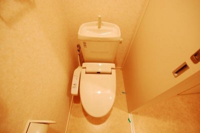 Toilet. Toilet