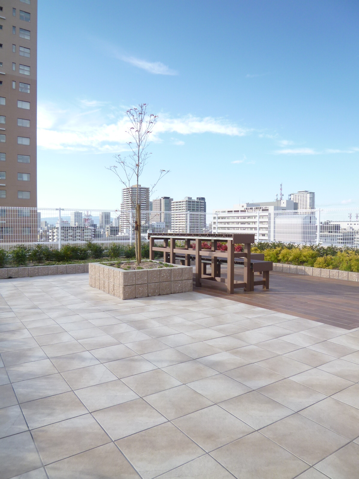 Other common areas. Rooftop garden