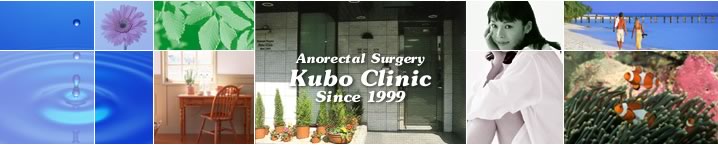 Hospital. 258m until Kubo anus gastroenterology clinic (hospital)