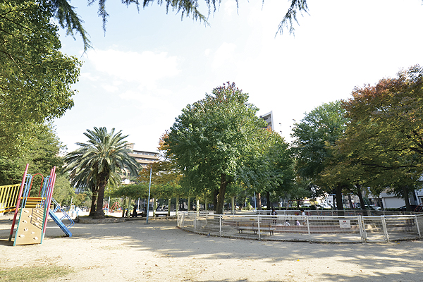 Surrounding environment. Minami Oe park (3-minute walk ・ About 240m)