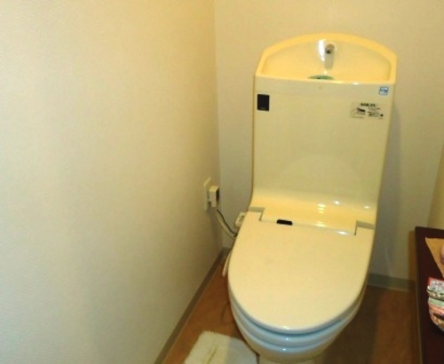 Toilet. Toilet (at the June 2013 shooting)