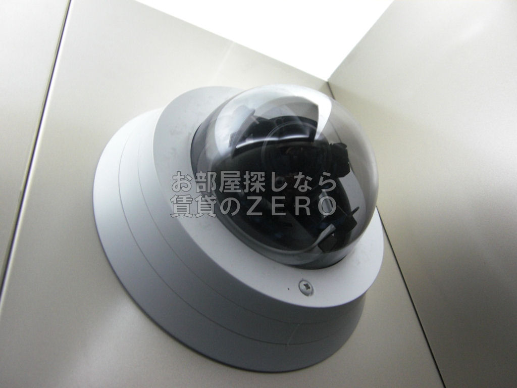 Other. surveillance camera