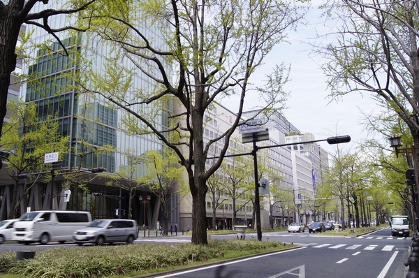 Ginkgo trees followed Midosuji (Yodoyabashi Station landscape)