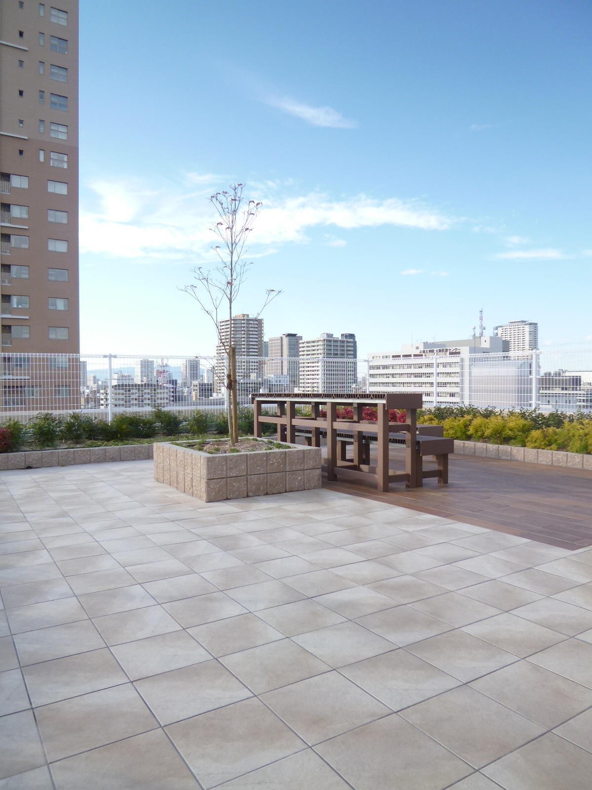 Garden. Rooftop garden