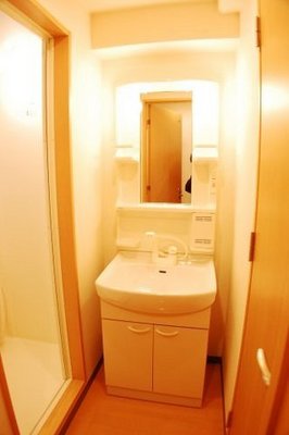 Washroom. Shampoo dresser