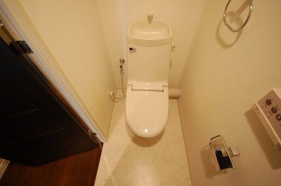 Toilet. Toilet