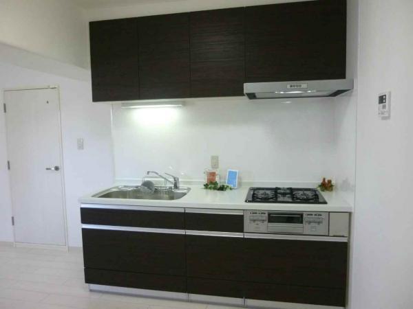 Kitchen. System kitchen had made