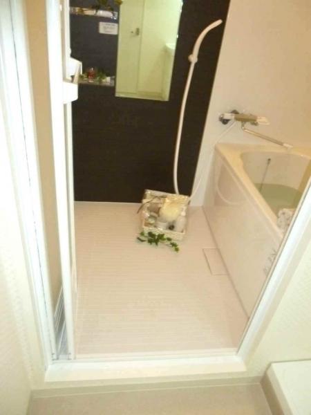 Bathroom. Bath unit bus had made