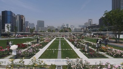 park. Nakanoshima 100m to the park (park)