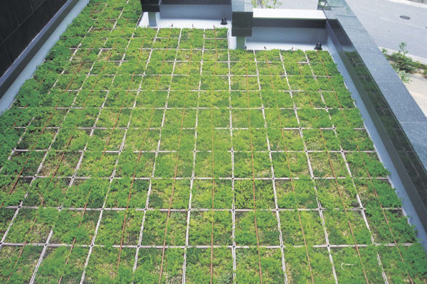 Common utility.  [Rooftop gardens (part)] By greening the roof of the common areas, To absorb the solar heat, It has also been consideration to its impact on the interior (rooftop greening image)