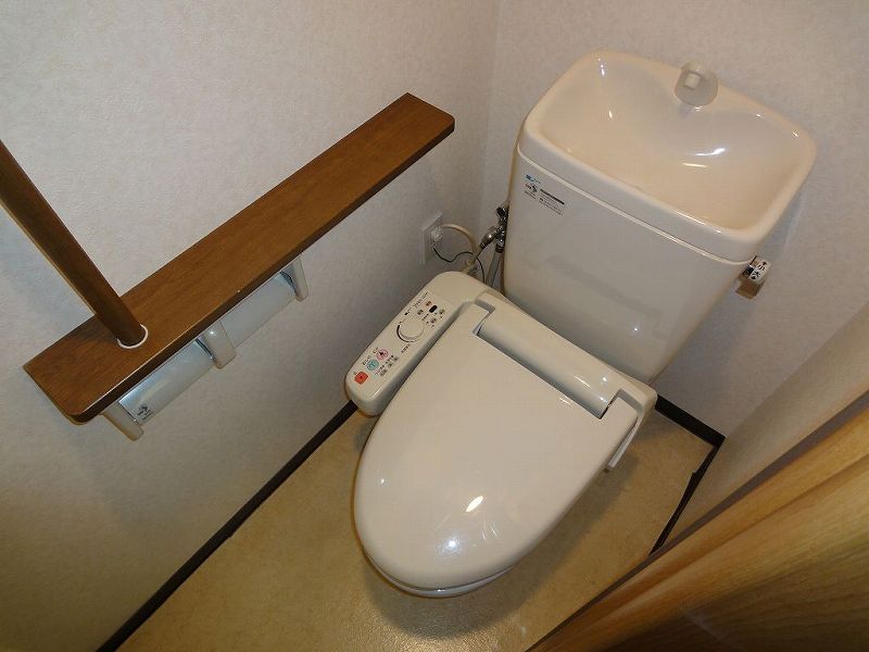 Toilet. Shower toilet