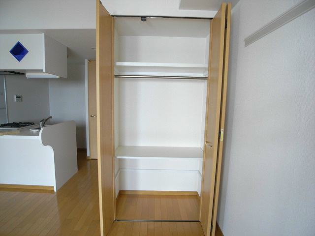 Other. Clothes is also easily capable of accommodating closet. 