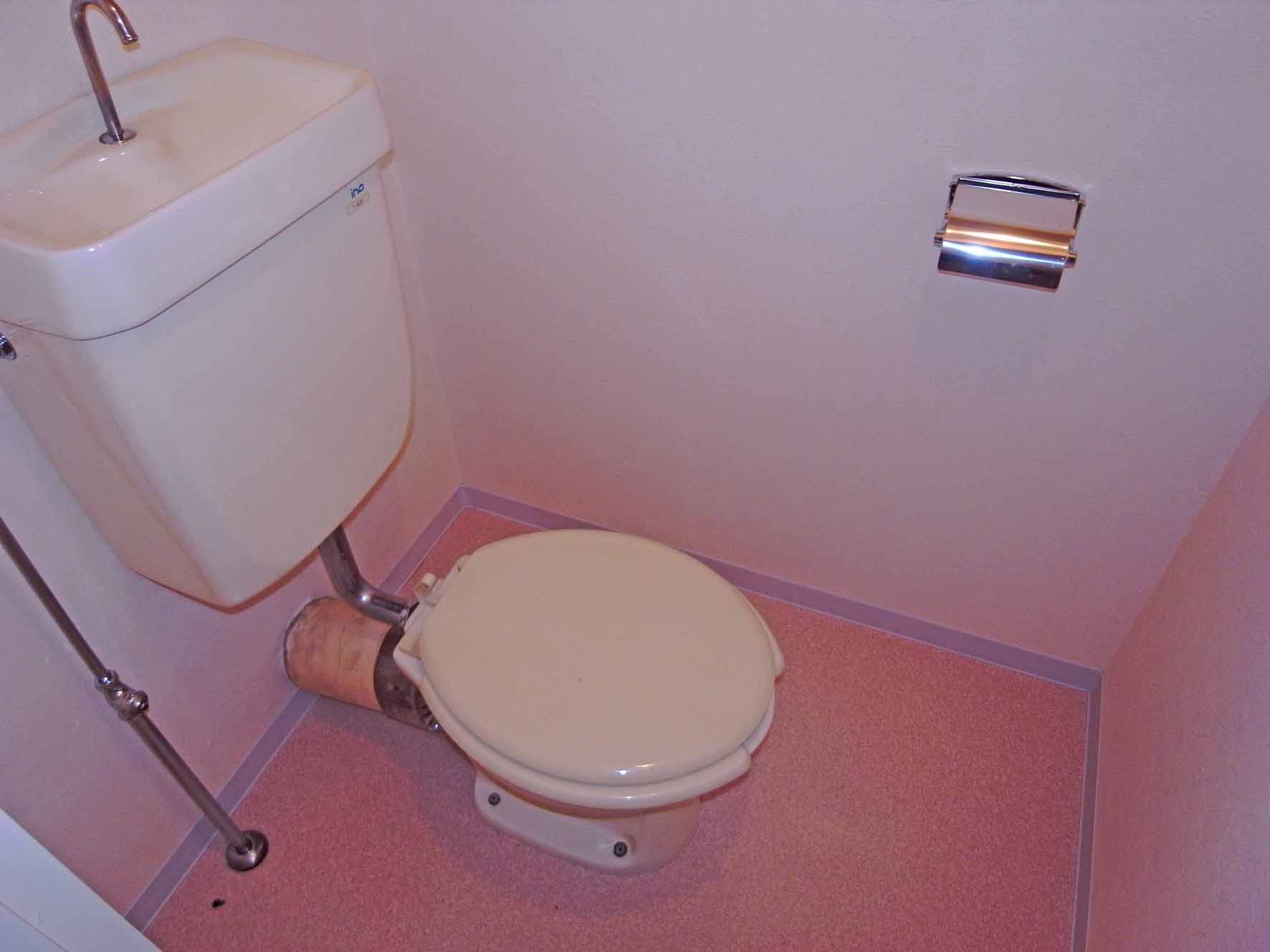 Toilet