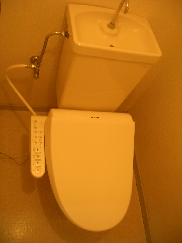 Toilet. Bidet