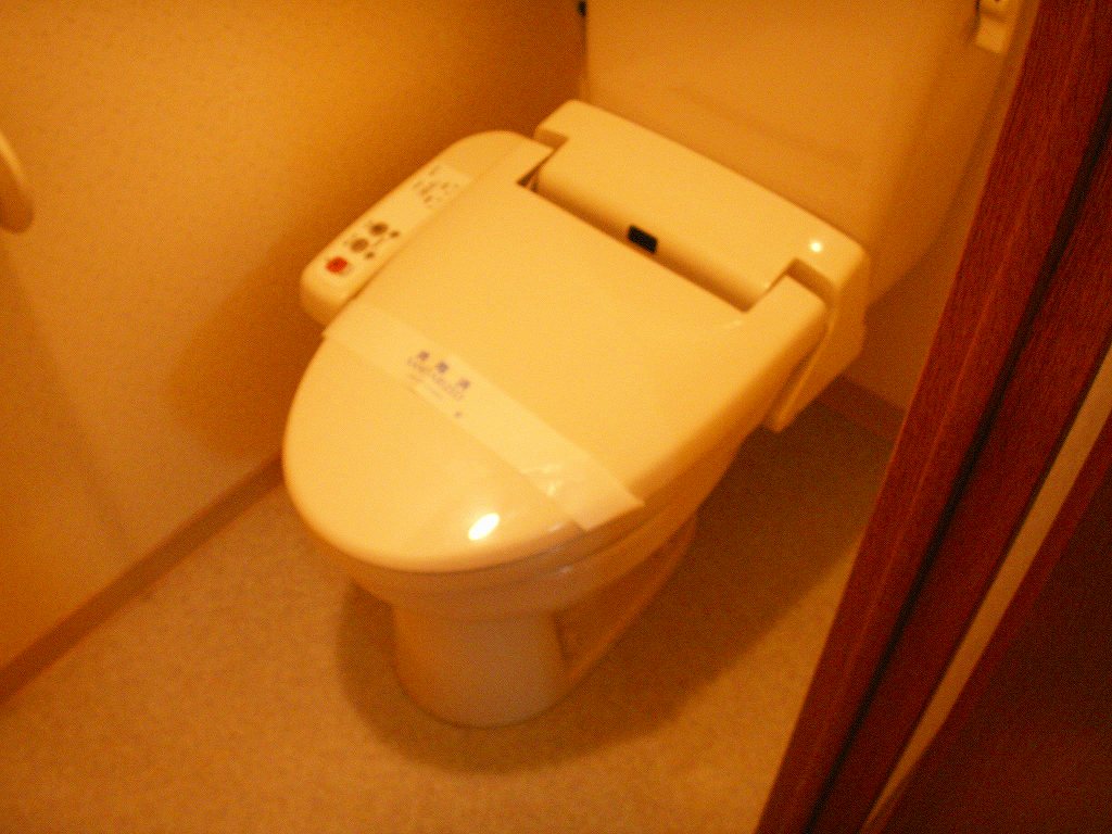 Toilet