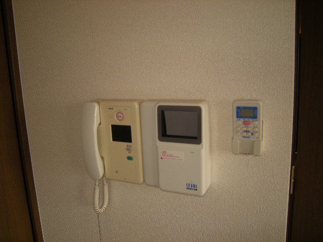 Security. Intercom with TV monitor