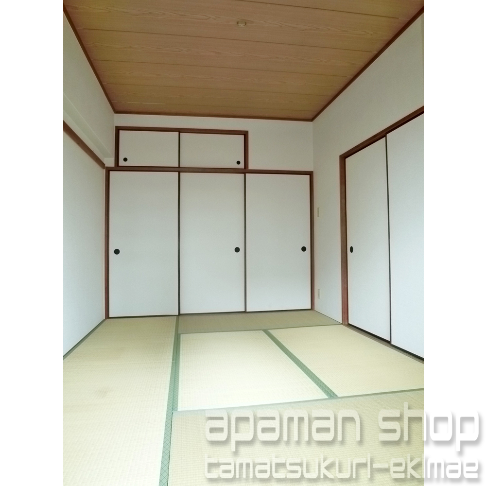 Other room space. Japanese style room