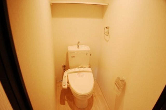 Toilet. Toilet