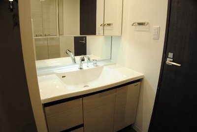 Washroom. Bathroom vanity