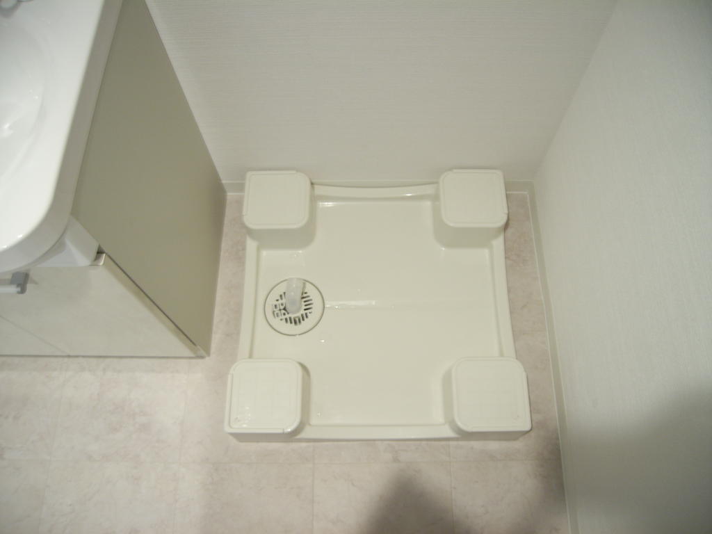 Washroom. Laundry Area