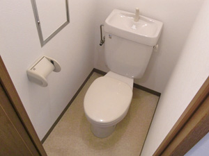 Toilet