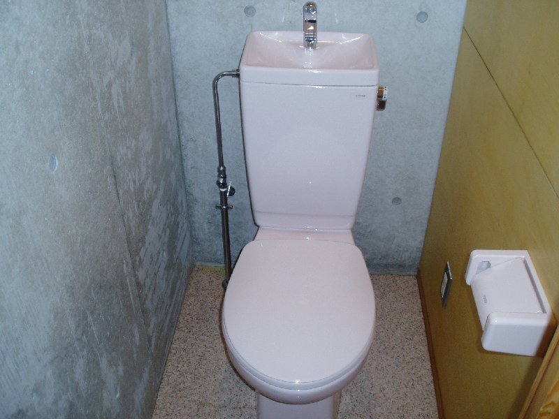 Toilet