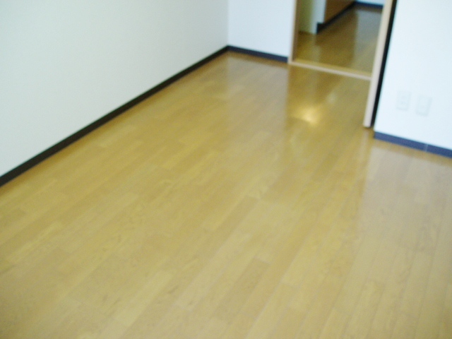 Other room space. Flooring