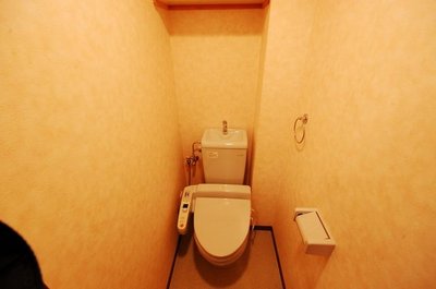 Toilet. Toilet