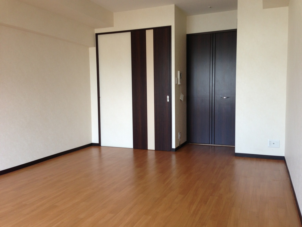 Living and room. Spacious 1K