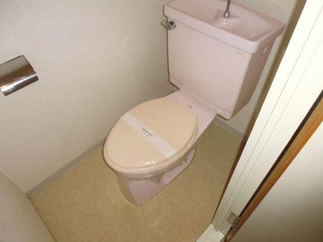 Other. Toilet